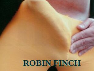 ROBIN_FINCH