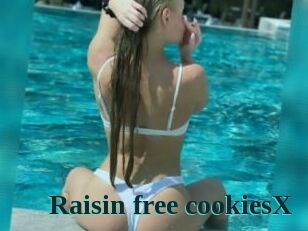 Raisin_free_cookiesX Melody Melons