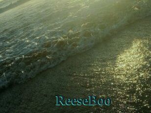 ReeseBoo