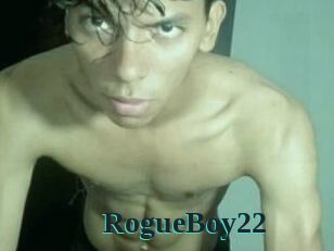 RogueBoy22