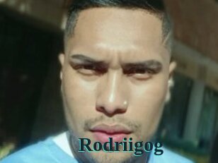 Rodriigog