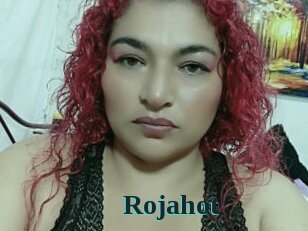 rojahot Melody Melons