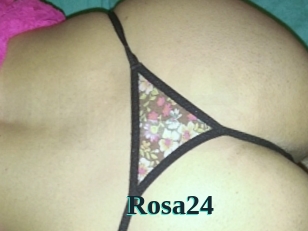 rosa24 Melody Melons