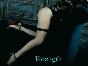 Rosegfe