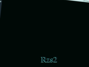 Rzs2