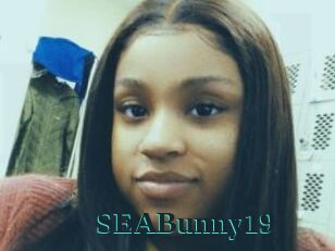 SEABunny19