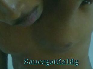 Saucegottia18g