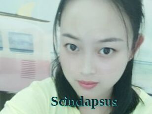 Scindapsus