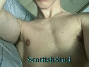 Scottish_Stud