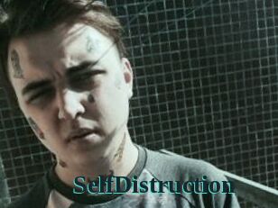SelfDistruction