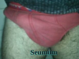 Seumum Melody Melons