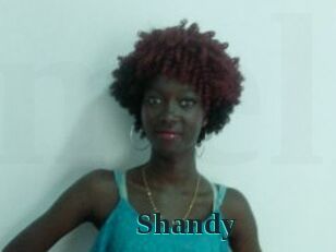 Shandy