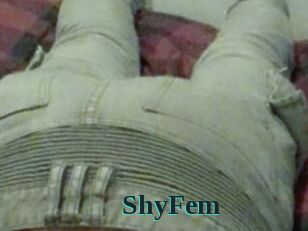ShyFem