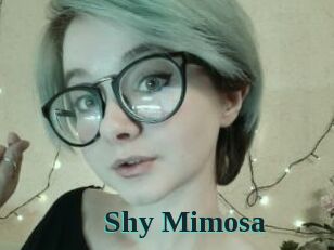 Shy_Mimosa