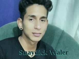 Snaydick_Waler