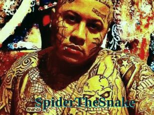 SpiderTheSnake