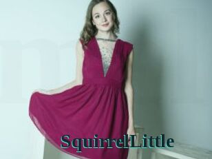 SquirrelLittle