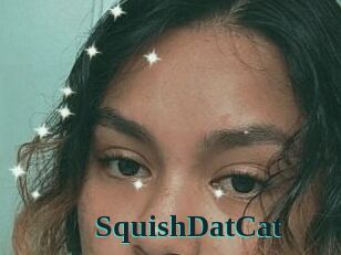 SquishDatCat