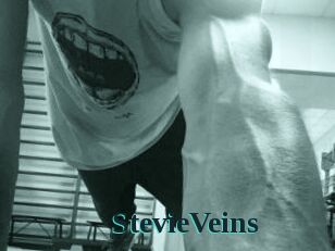 StevieVeins