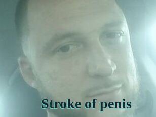 Stroke_of_penis