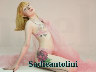 Sadieantolini