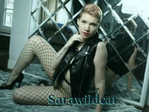 Sarawildcat