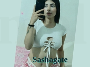 Sashagate