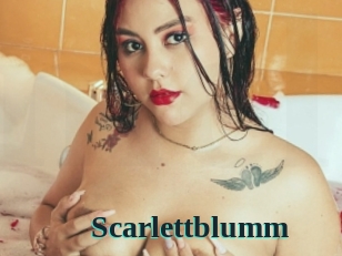 Scarlettblumm