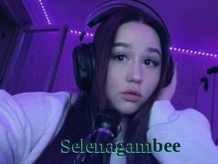 Selenagambee