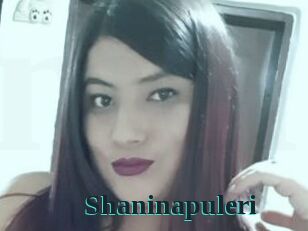 Shaninapuleri