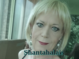 Shantahalais