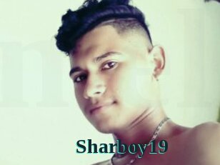 Sharboy19