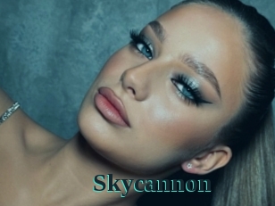 Skycannon