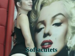 Sofiacutets
