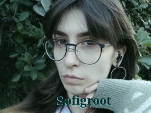 Sofigroot