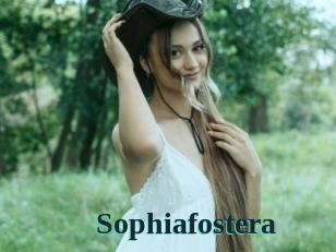 Sophiafostera