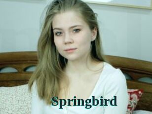 Springbird