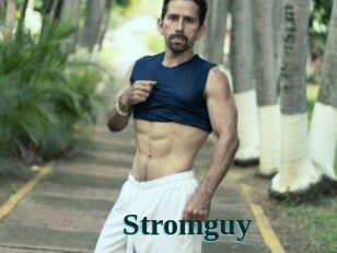 Stromguy
