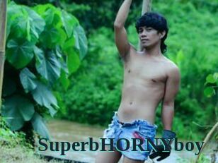 SuperbHORNYboy