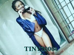 TINY20004