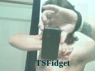 TSFidget