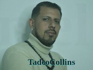 TadeoCollins
