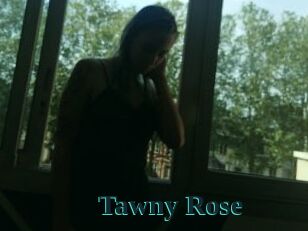 Tawny_Rose