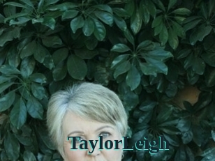 TaylorLeigh Melody Melons