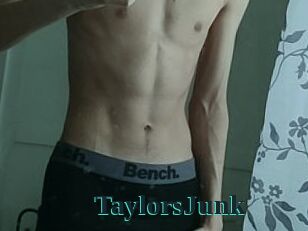 TaylorsJunk