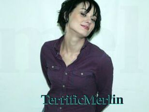 TerrificMerlin