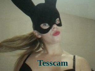 Tesscam