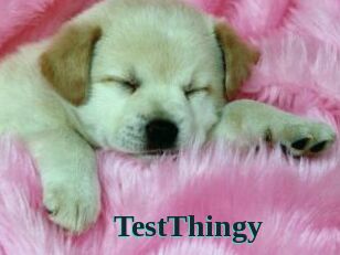TestThingy