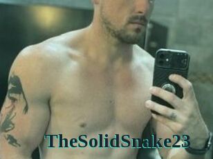 TheSolidSnake23