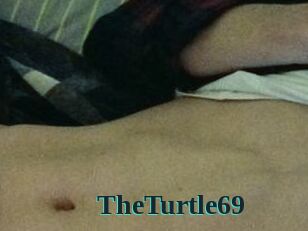 TheTurtle69